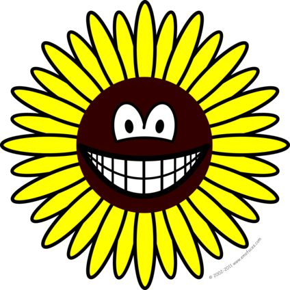 Sunflower smile