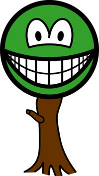 Tree smile