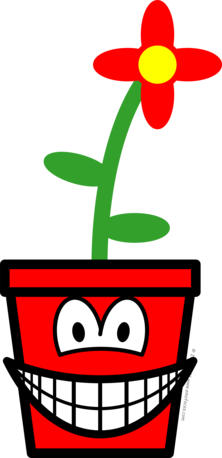 Flowerpot smile